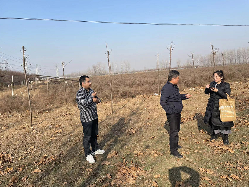 1639040215459170.png image.png